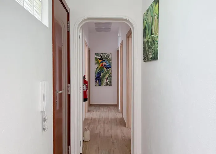 Appartement Penthouse With Balcony In The Historic Center #1956